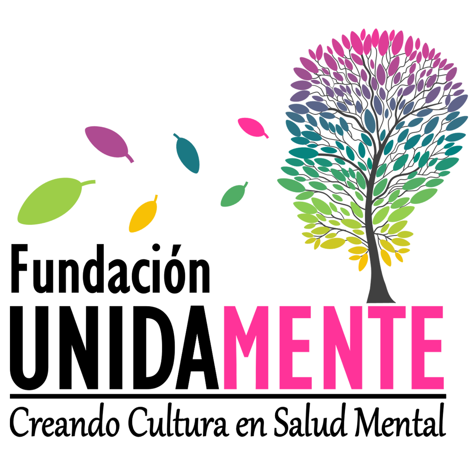 Logo de la Fundación Unidamente